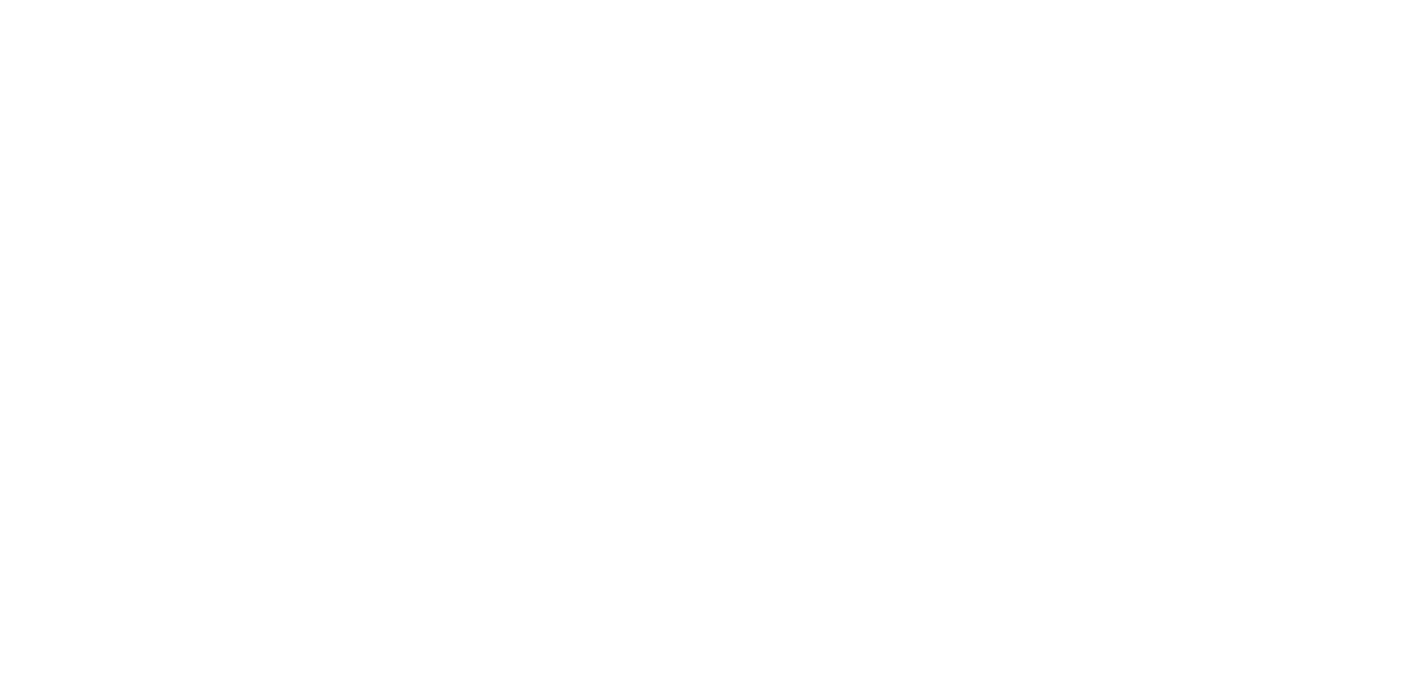 FNVPass